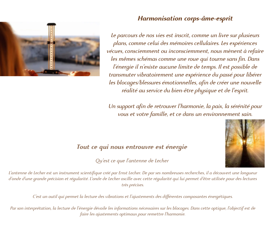 L’antenne de Lecher